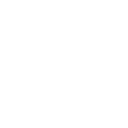 Phoenix by 4D