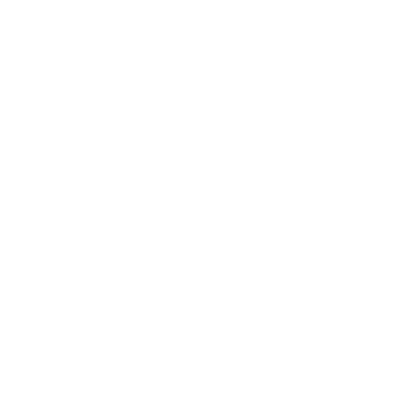 Phoenix by 4D